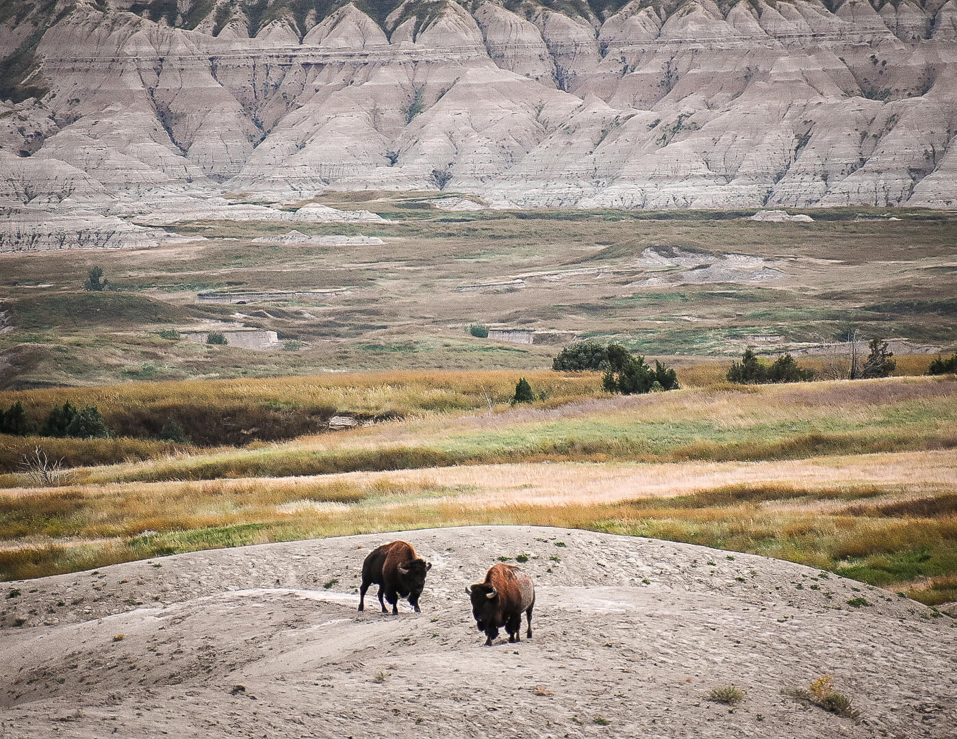 The Complete Guide to Badlands National Park